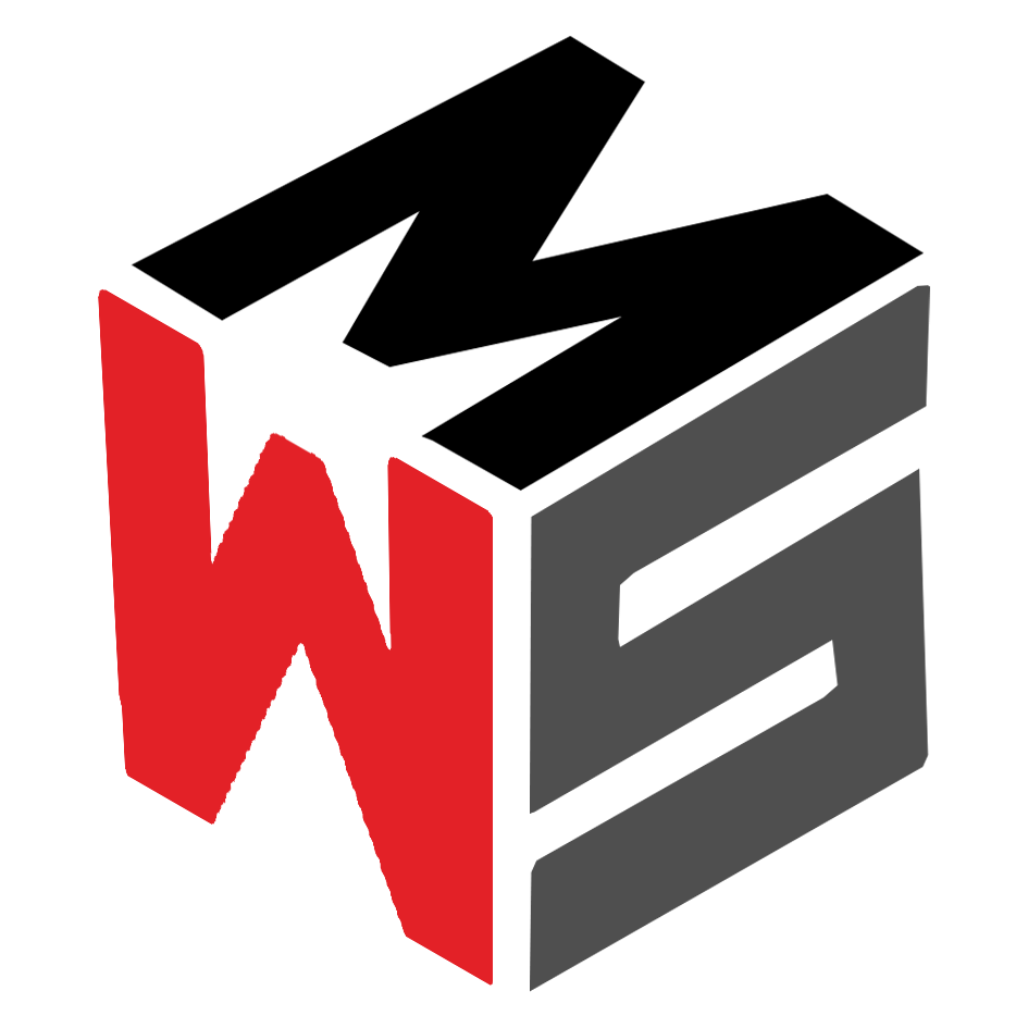 MegaWebSite логотип